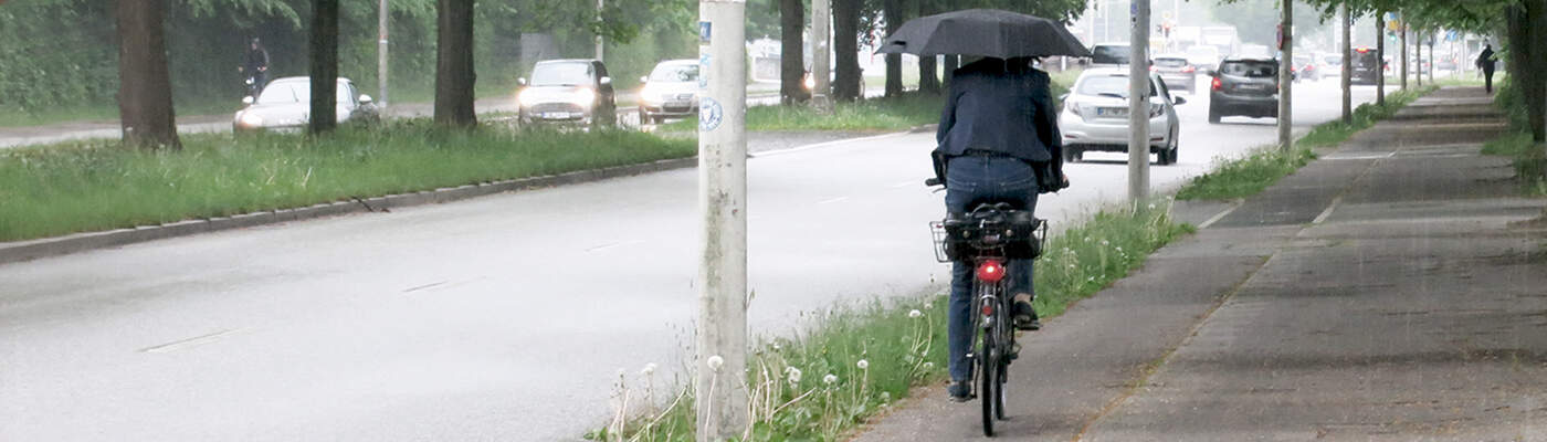 Punkte in Flensburg