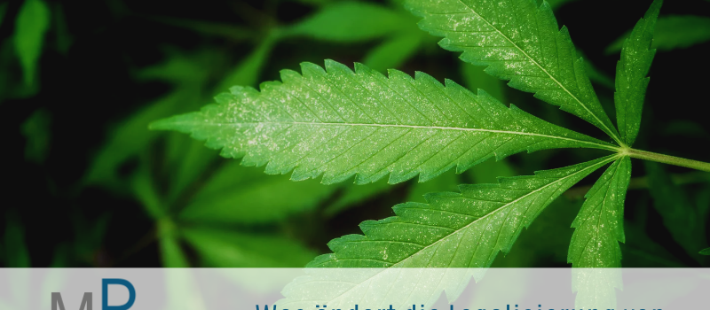 Was ändert die Legalisierung von Cannabis für Autofahrer